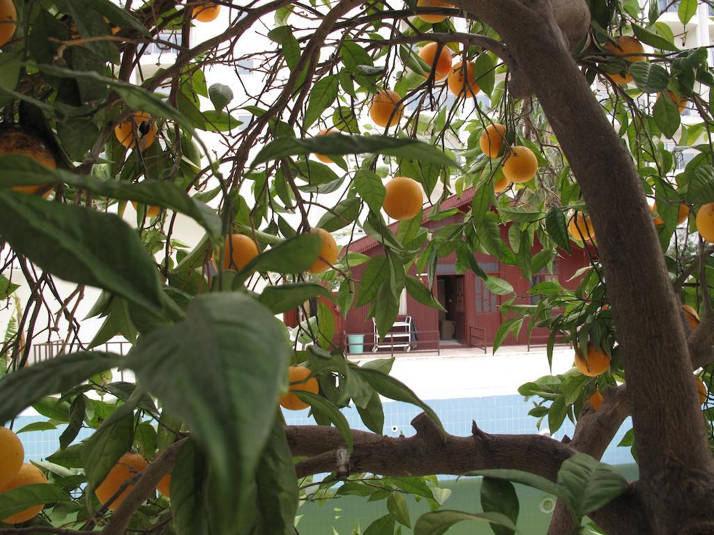Dream Park Bungalow Titreyengol 外观 照片