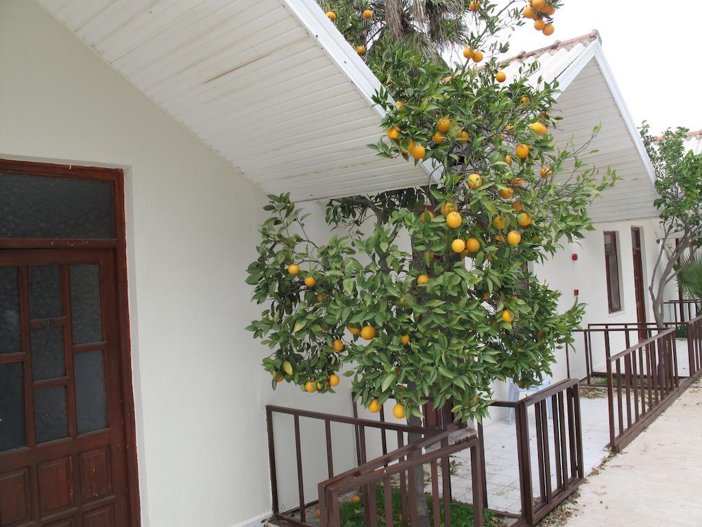 Dream Park Bungalow Titreyengol 外观 照片