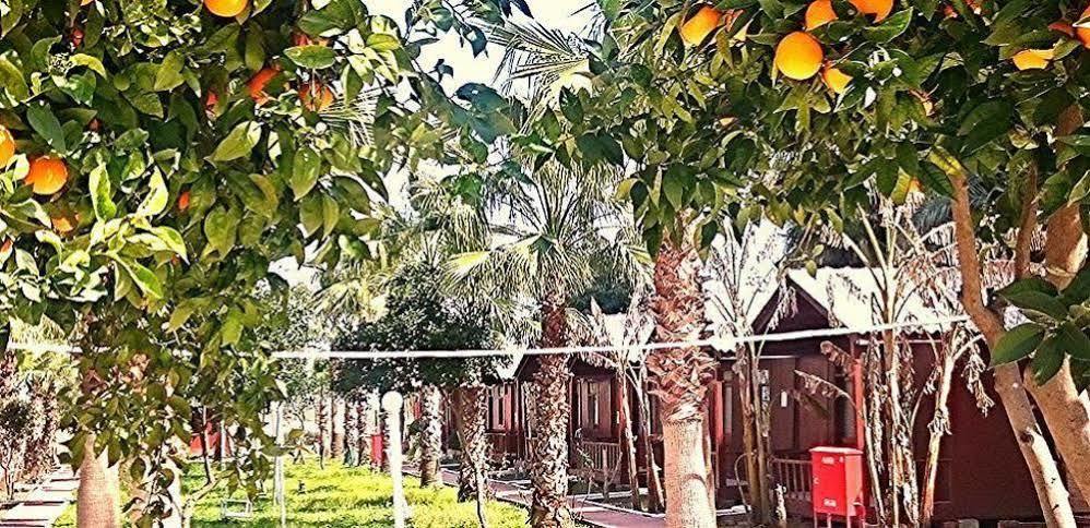Dream Park Bungalow Titreyengol 外观 照片